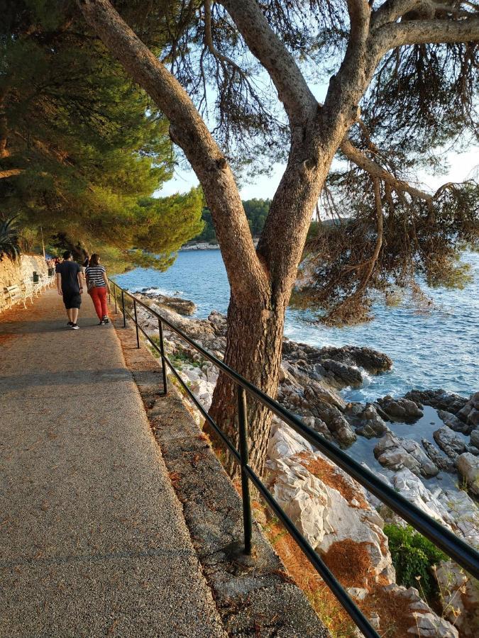 Apartment Saul Cavtat Exterior foto