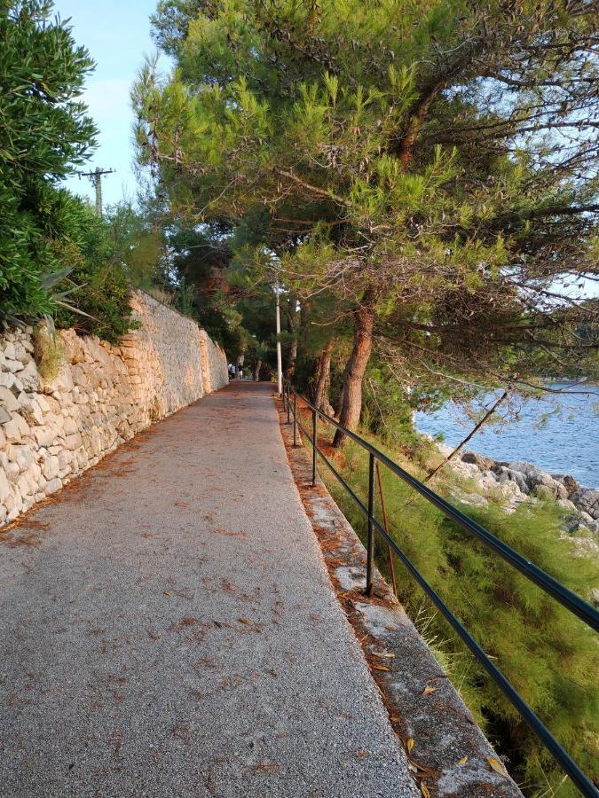 Apartment Saul Cavtat Exterior foto